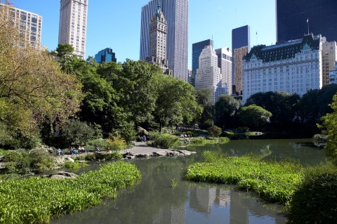 images/destinations/new-york/thumbs/central-park-pond-at-59th-st_alexlopez-c-nyc-co.jpg
